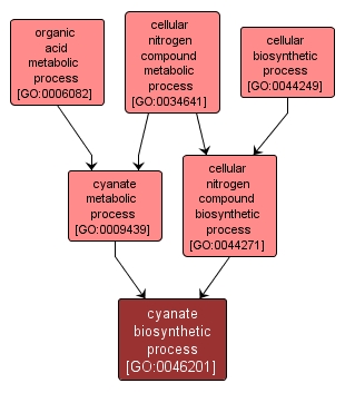 GO:0046201 - cyanate biosynthetic process (interactive image map)