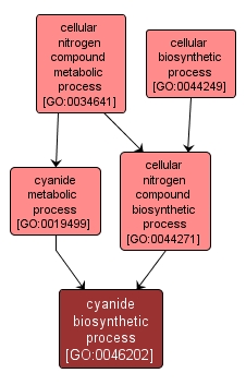 GO:0046202 - cyanide biosynthetic process (interactive image map)