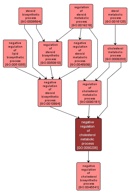 GO:0090206 - negative regulation of cholesterol metabolic process (interactive image map)