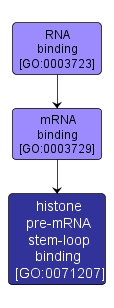 GO:0071207 - histone pre-mRNA stem-loop binding (interactive image map)