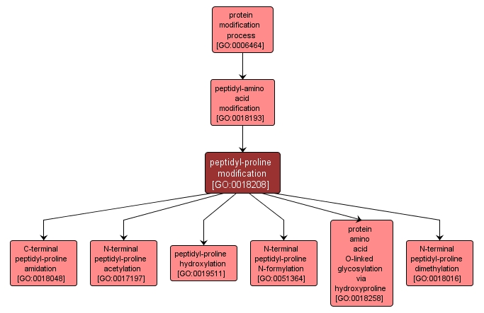 GO:0018208 - peptidyl-proline modification (interactive image map)