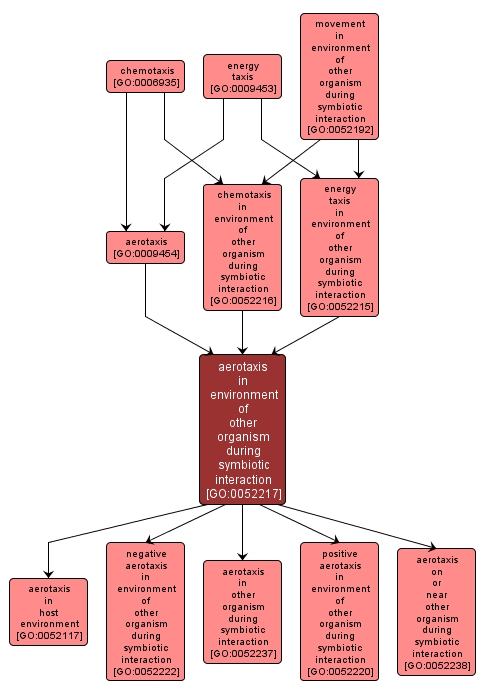 GO:0052217 - aerotaxis in environment of other organism during symbiotic interaction (interactive image map)