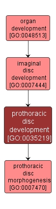 GO:0035219 - prothoracic disc development (interactive image map)