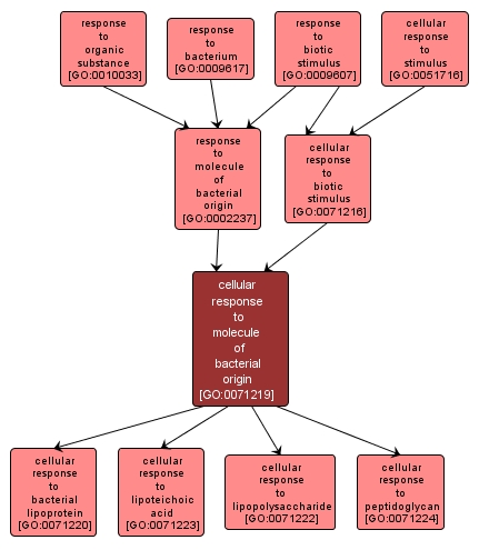 GO:0071219 - cellular response to molecule of bacterial origin (interactive image map)