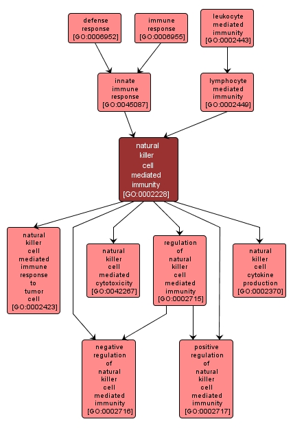 GO:0002228 - natural killer cell mediated immunity (interactive image map)