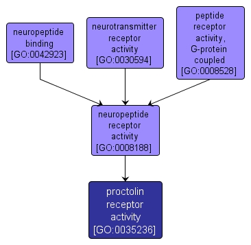 GO:0035236 - proctolin receptor activity (interactive image map)