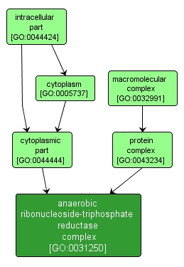GO:0031250 - anaerobic ribonucleoside-triphosphate reductase complex (interactive image map)