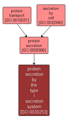 GO:0030253 - protein secretion by the type I secretion system (interactive image map)