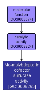 GO:0008265 - Mo-molybdopterin cofactor sulfurase activity (interactive image map)