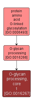 GO:0016267 - O-glycan processing, core 1 (interactive image map)