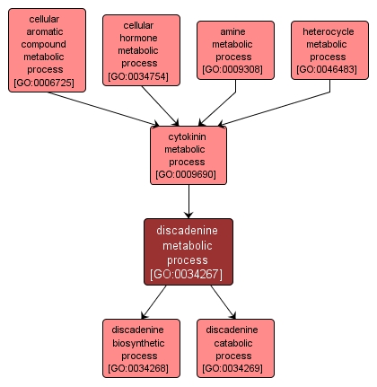 GO:0034267 - discadenine metabolic process (interactive image map)