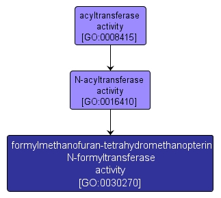 GO:0030270 - formylmethanofuran-tetrahydromethanopterin N-formyltransferase activity (interactive image map)