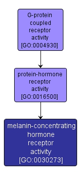 GO:0030273 - melanin-concentrating hormone receptor activity (interactive image map)