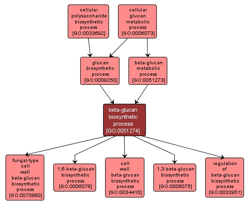 GO:0051274 - beta-glucan biosynthetic process (interactive image map)