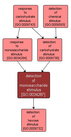 GO:0034287 - detection of monosaccharide stimulus (interactive image map)