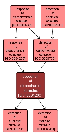 GO:0034288 - detection of disaccharide stimulus (interactive image map)