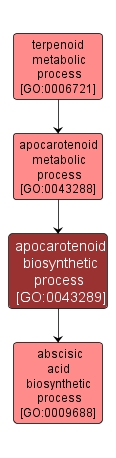 GO:0043289 - apocarotenoid biosynthetic process (interactive image map)