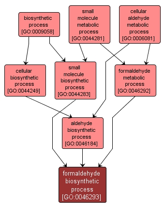GO:0046293 - formaldehyde biosynthetic process (interactive image map)