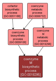 GO:0019295 - coenzyme M biosynthetic process (interactive image map)