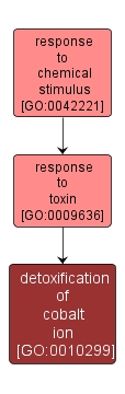 GO:0010299 - detoxification of cobalt ion (interactive image map)