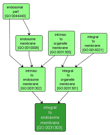 GO:0031303 - integral to endosome membrane (interactive image map)