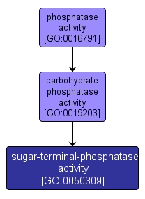 GO:0050309 - sugar-terminal-phosphatase activity (interactive image map)