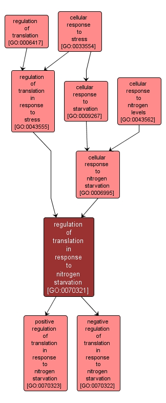 GO:0070321 - regulation of translation in response to nitrogen starvation (interactive image map)