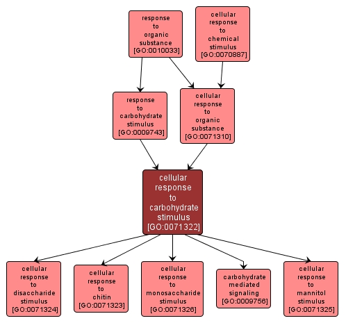 GO:0071322 - cellular response to carbohydrate stimulus (interactive image map)