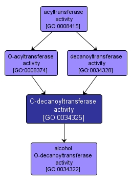 GO:0034325 - O-decanoyltransferase activity (interactive image map)