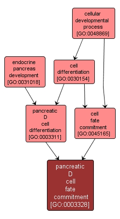 GO:0003328 - pancreatic D cell fate commitment (interactive image map)