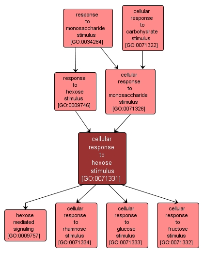 GO:0071331 - cellular response to hexose stimulus (interactive image map)