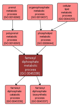 GO:0045338 - farnesyl diphosphate metabolic process (interactive image map)