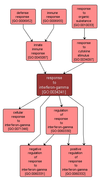 GO:0034341 - response to interferon-gamma (interactive image map)