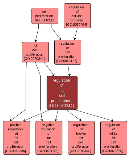 GO:0070344 - regulation of fat cell proliferation (interactive image map)