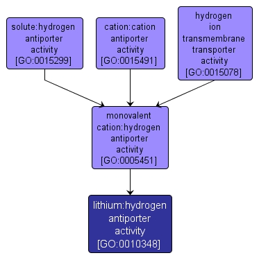 GO:0010348 - lithium:hydrogen antiporter activity (interactive image map)
