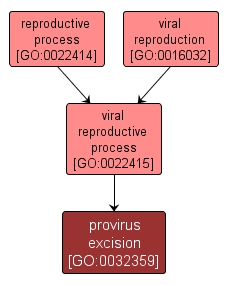 GO:0032359 - provirus excision (interactive image map)