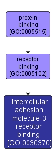 GO:0030370 - intercellular adhesion molecule-3 receptor binding (interactive image map)