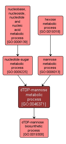 GO:0046371 - dTDP-mannose metabolic process (interactive image map)