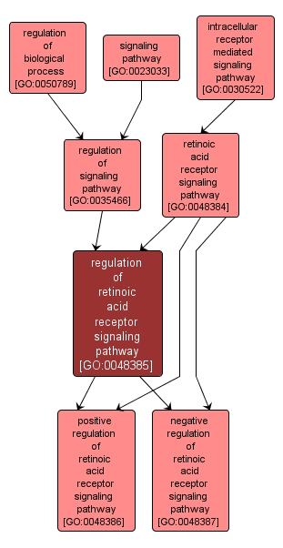 GO:0048385 - regulation of retinoic acid receptor signaling pathway (interactive image map)