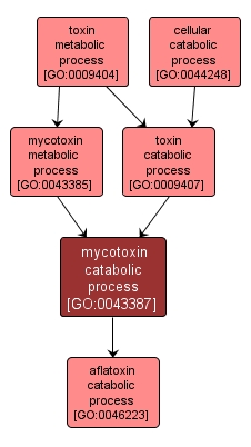 GO:0043387 - mycotoxin catabolic process (interactive image map)