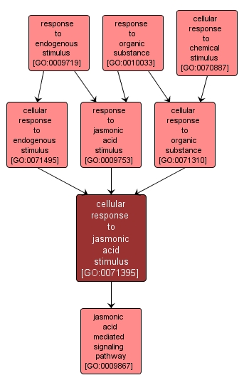 GO:0071395 - cellular response to jasmonic acid stimulus (interactive image map)