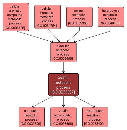 GO:0033397 - zeatin metabolic process (interactive image map)