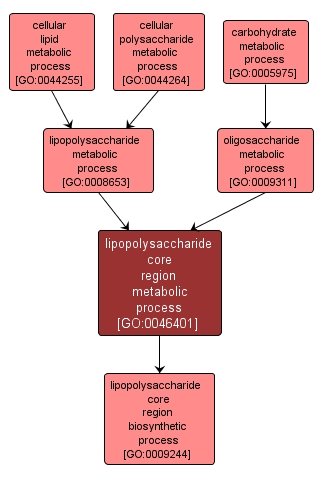 GO:0046401 - lipopolysaccharide core region metabolic process (interactive image map)