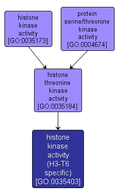 GO:0035403 - histone kinase activity (H3-T6 specific) (interactive image map)