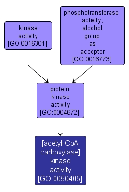 GO:0050405 - [acetyl-CoA carboxylase] kinase activity (interactive image map)