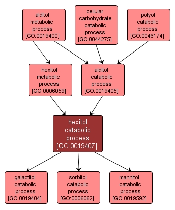 GO:0019407 - hexitol catabolic process (interactive image map)