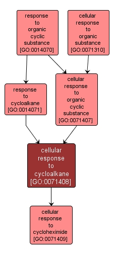 GO:0071408 - cellular response to cycloalkane (interactive image map)