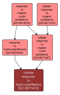 GO:0071413 - cellular response to hydroxyisoflavone (interactive image map)