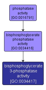 GO:0034417 - bisphosphoglycerate 3-phosphatase activity (interactive image map)