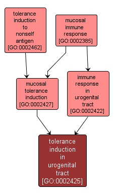 GO:0002425 - tolerance induction in urogenital tract (interactive image map)